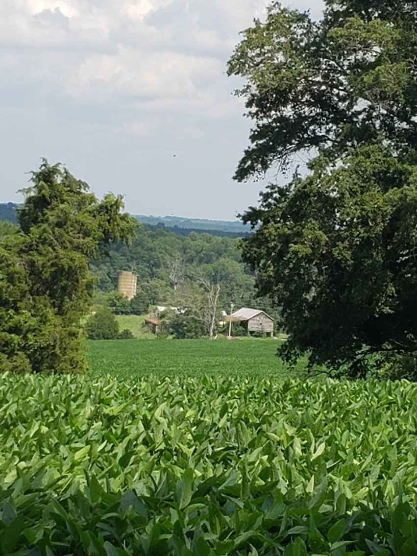 Image for 8846  Bear Creek Rd,  Gladys, VA  24554