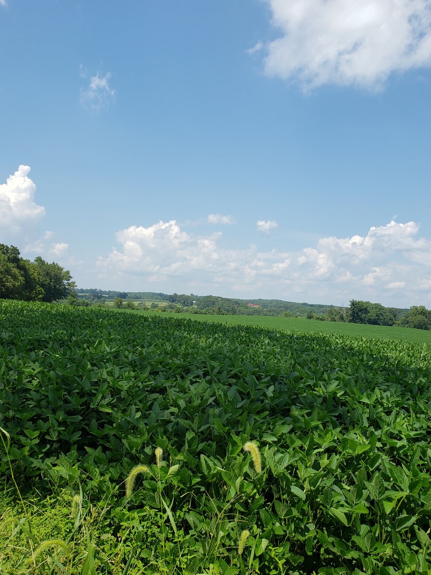 Image for 8846  Bear Creek Rd,  Gladys, VA  24554