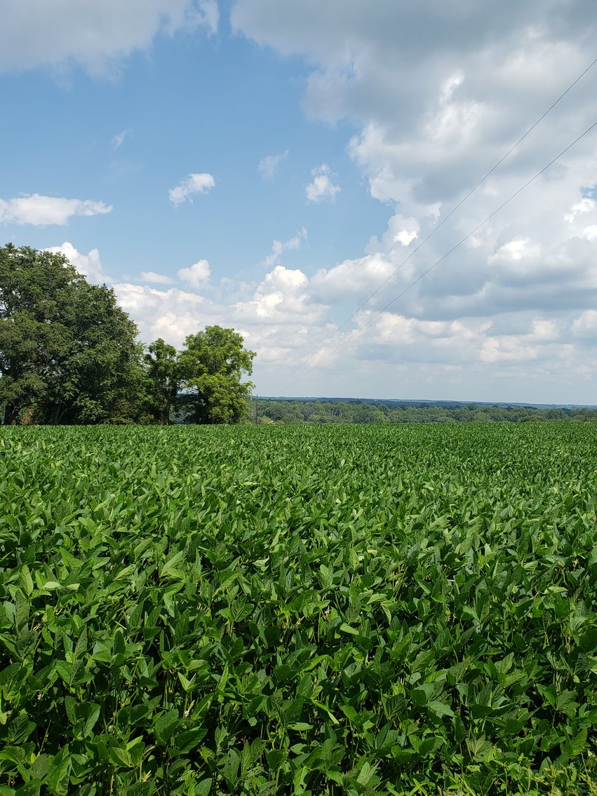 Image for 8846  Bear Creek Rd,  Gladys, VA  24554