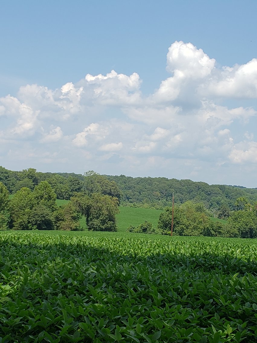 Image for 8846  Bear Creek Rd,  Gladys, VA  24554