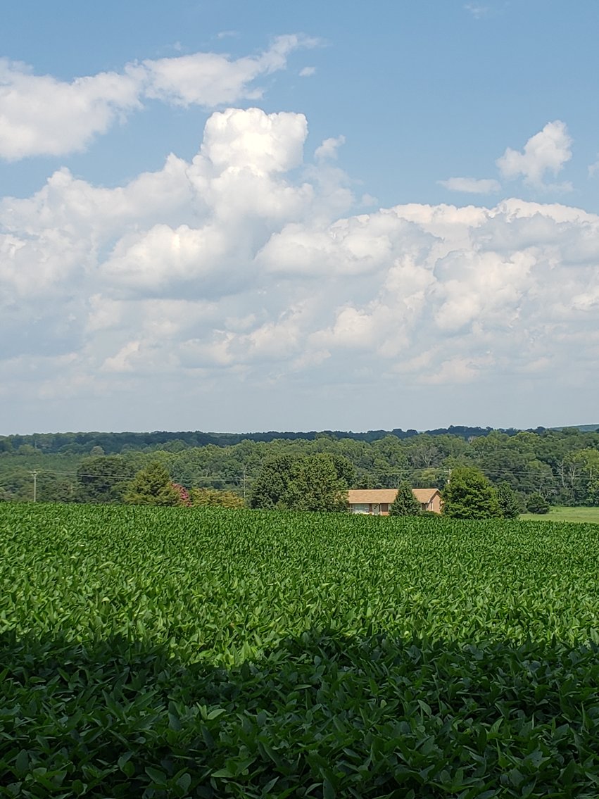 Image for 8846  Bear Creek Rd,  Gladys, VA  24554