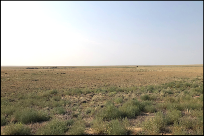 Image for KIOWA COUNTY, CO - CRP (C4057)