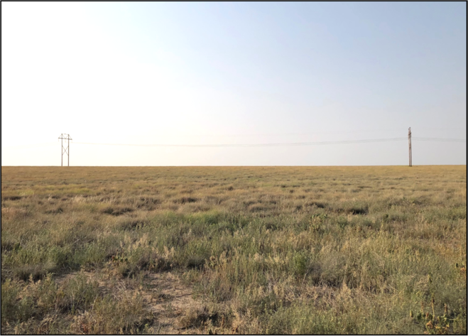 Image for KIOWA COUNTY, CO - CRP (C4057)