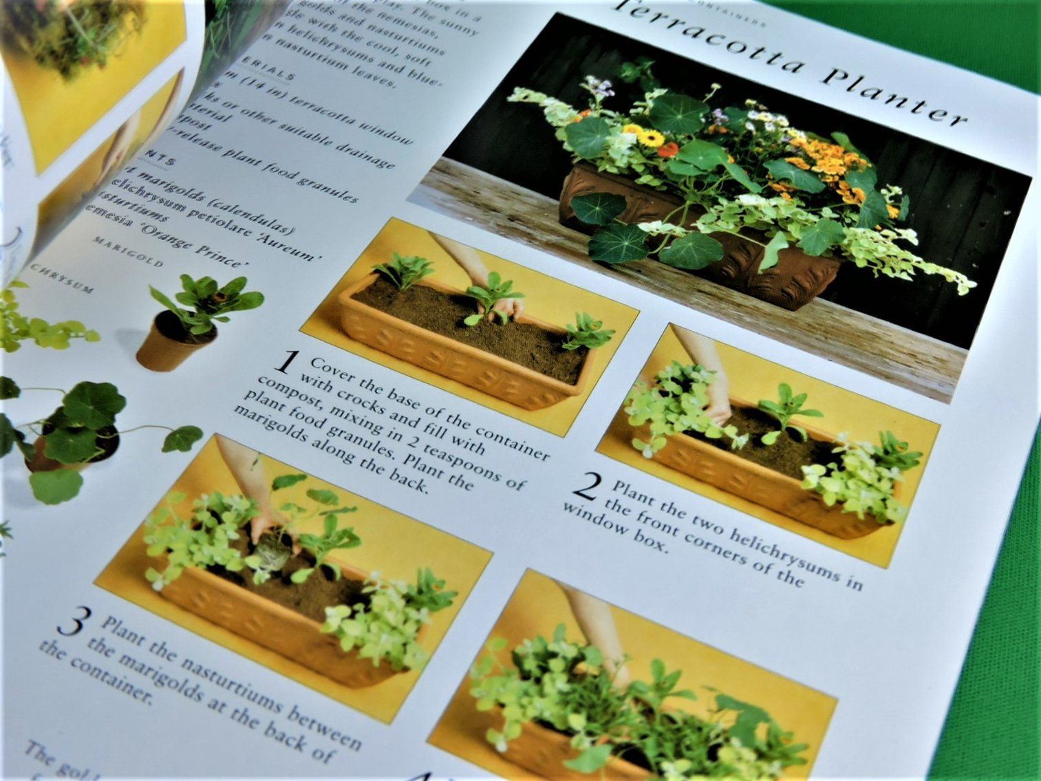 Image for The Ultimate Container Gardener by Stephanie Donaldson.