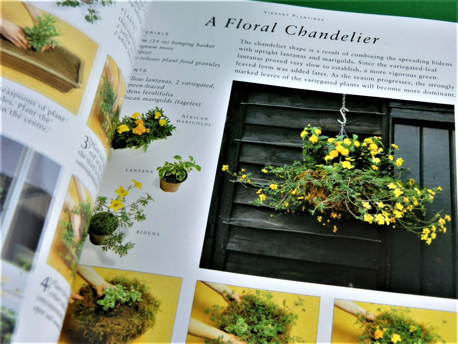Image for The Ultimate Container Gardener by Stephanie Donaldson.