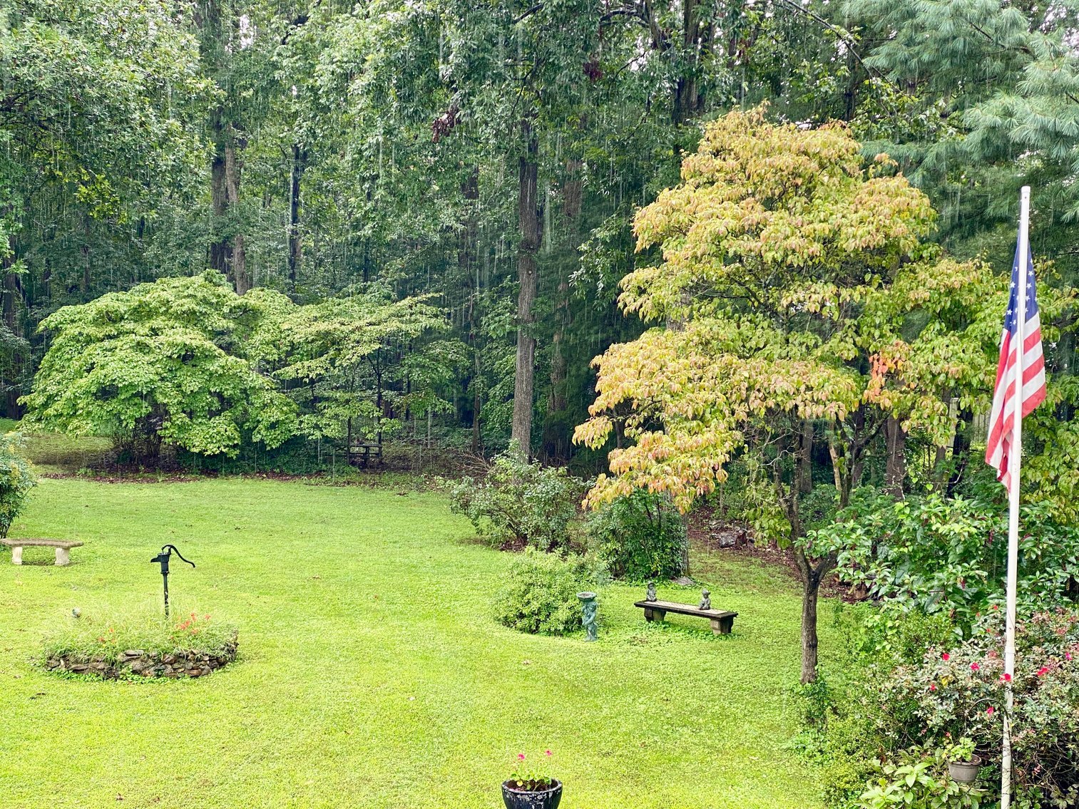 Image for 3 BR/2 BA Brick Home on 1.18 +/- Acres w/R6 Zoning Only 3.5 Miles From UVA--SELLING to the HIGHEST BIDDER!!