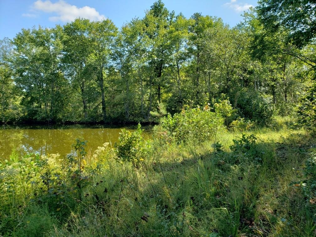 Image for 365 +/- Contiguous Acres of Land Offered in 3 Tracts Featuring Timber, Pasture & 5,600' +/- of River Frontage--Campbell County, VA