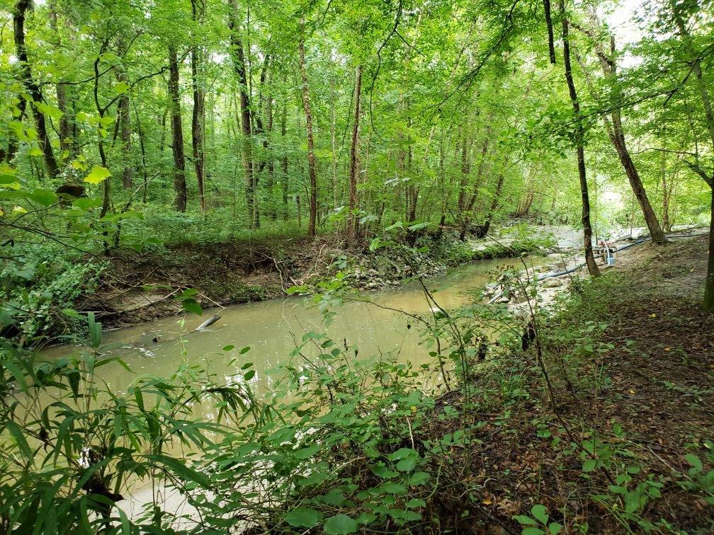 Image for 365 +/- Contiguous Acres of Land Offered in 3 Tracts Featuring Timber, Pasture & 5,600' +/- of River Frontage--Campbell County, VA