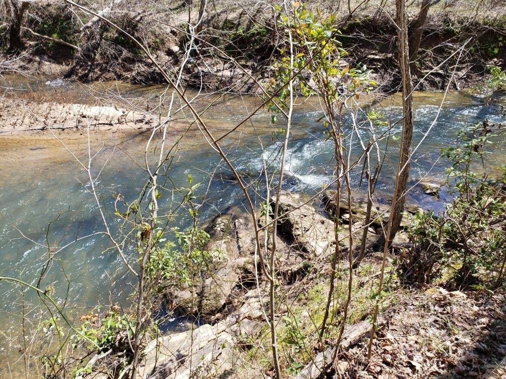 Image for 365 +/- Contiguous Acres of Land Offered in 3 Tracts Featuring Timber, Pasture & 5,600' +/- of River Frontage--Campbell County, VA