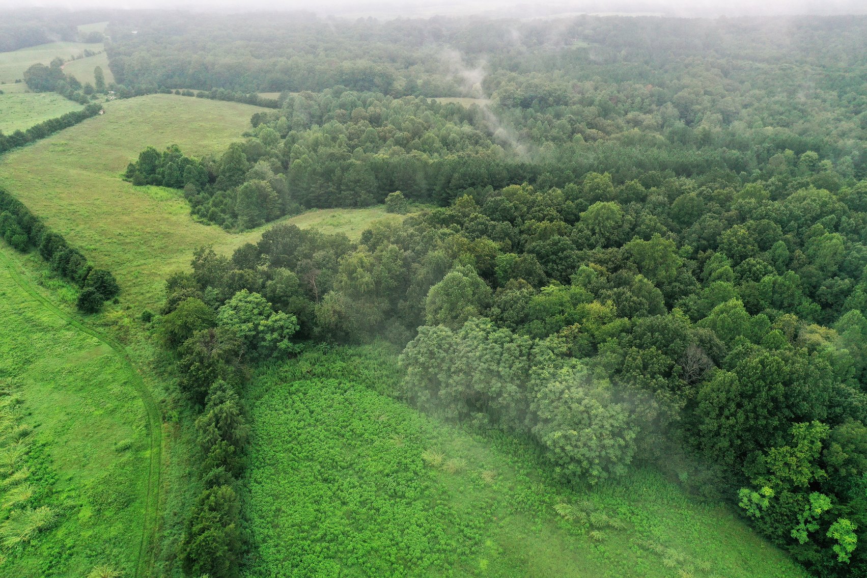 Image for 365 +/- Contiguous Acres of Land Offered in 3 Tracts Featuring Timber, Pasture & 5,600' +/- of River Frontage--Campbell County, VA