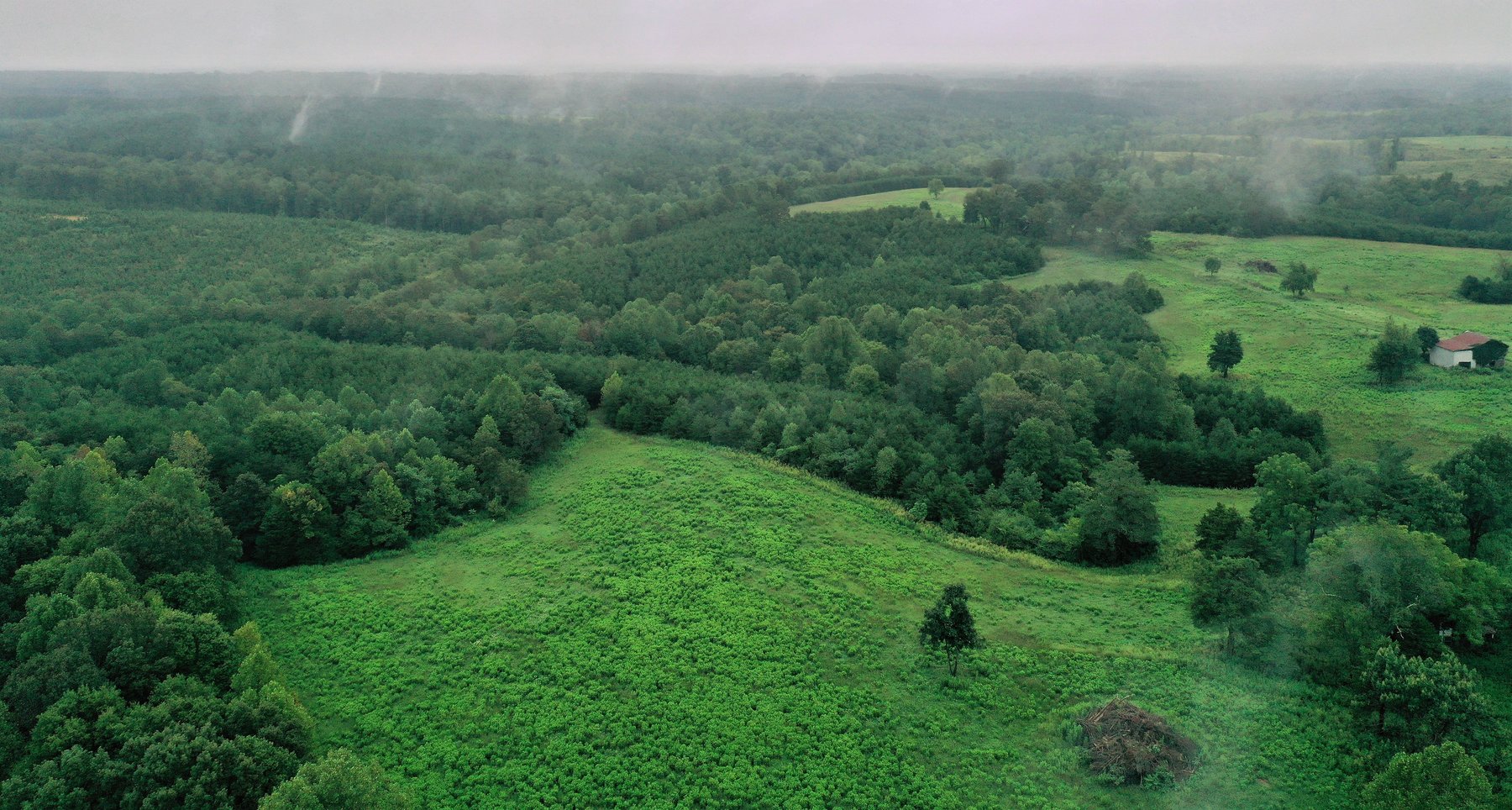 Image for 365 +/- Contiguous Acres of Land Offered in 3 Tracts Featuring Timber, Pasture & 5,600' +/- of River Frontage--Campbell County, VA