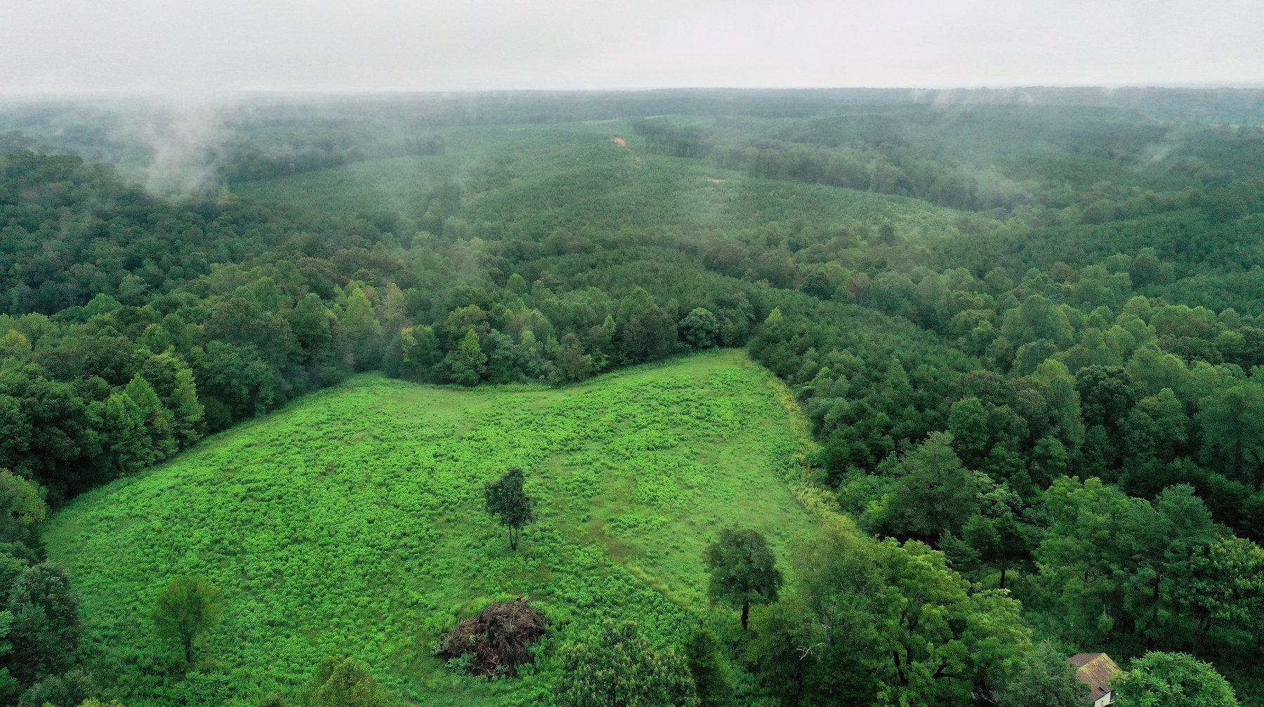 Image for 365 +/- Contiguous Acres of Land Offered in 3 Tracts Featuring Timber, Pasture & 5,600' +/- of River Frontage--Campbell County, VA