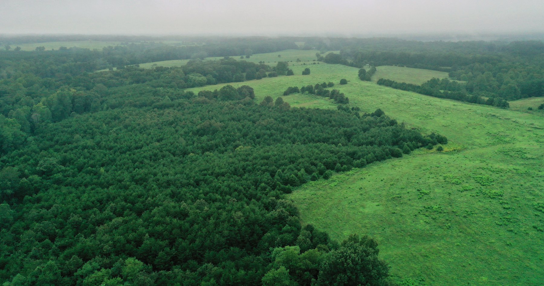 Image for 365 +/- Contiguous Acres of Land Offered in 3 Tracts Featuring Timber, Pasture & 5,600' +/- of River Frontage--Campbell County, VA