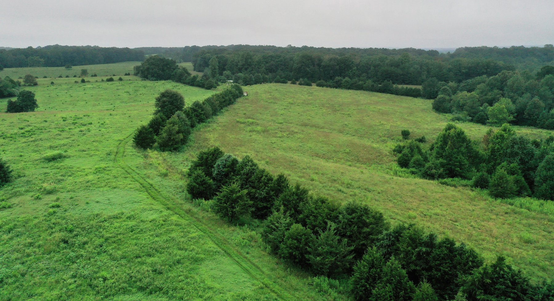 Image for 365 +/- Contiguous Acres of Land Offered in 3 Tracts Featuring Timber, Pasture & 5,600' +/- of River Frontage--Campbell County, VA