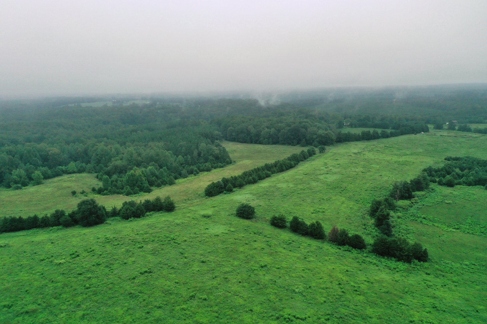 Image for 365 +/- Contiguous Acres of Land Offered in 3 Tracts Featuring Timber, Pasture & 5,600' +/- of River Frontage--Campbell County, VA