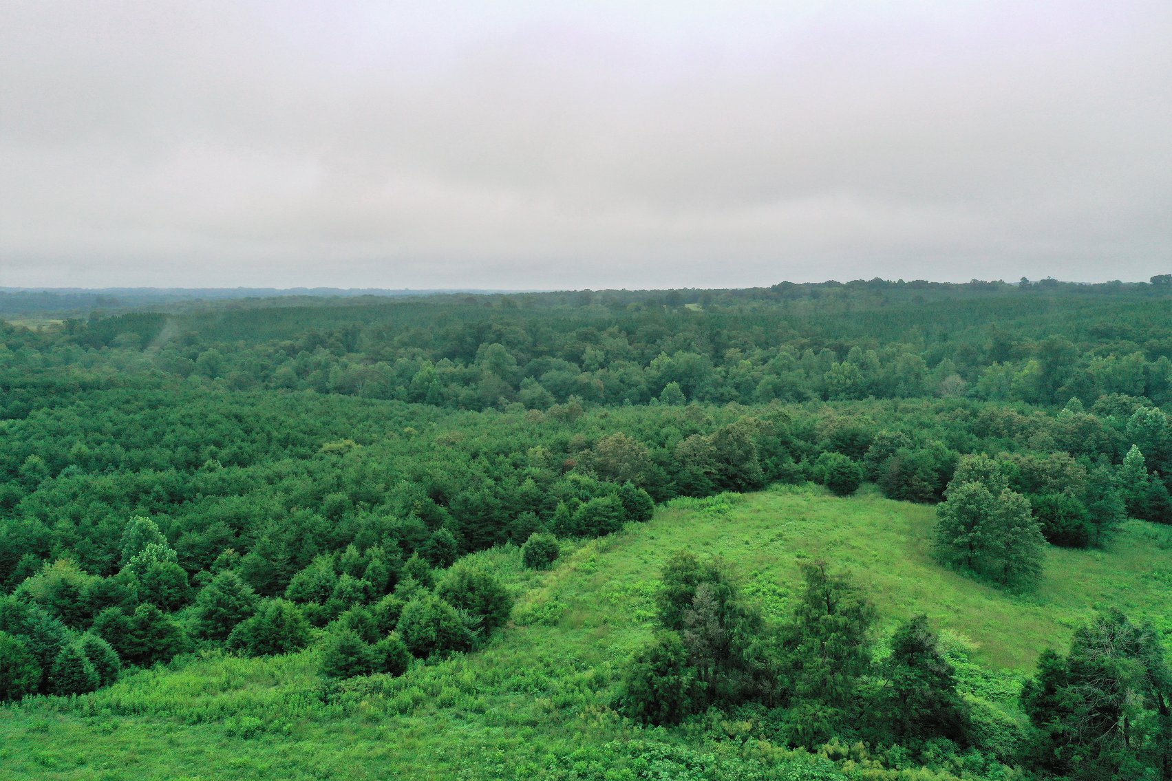 Image for 365 +/- Contiguous Acres of Land Offered in 3 Tracts Featuring Timber, Pasture & 5,600' +/- of River Frontage--Campbell County, VA