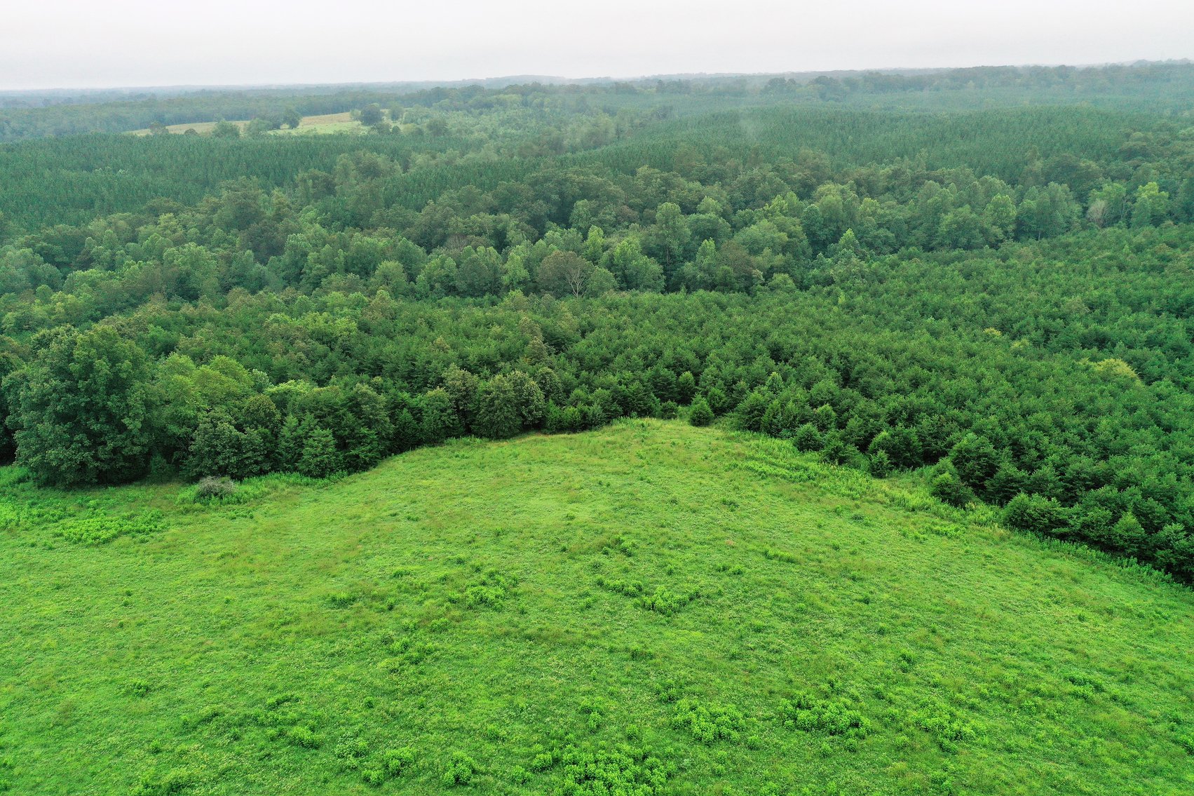 Image for 365 +/- Contiguous Acres of Land Offered in 3 Tracts Featuring Timber, Pasture & 5,600' +/- of River Frontage--Campbell County, VA