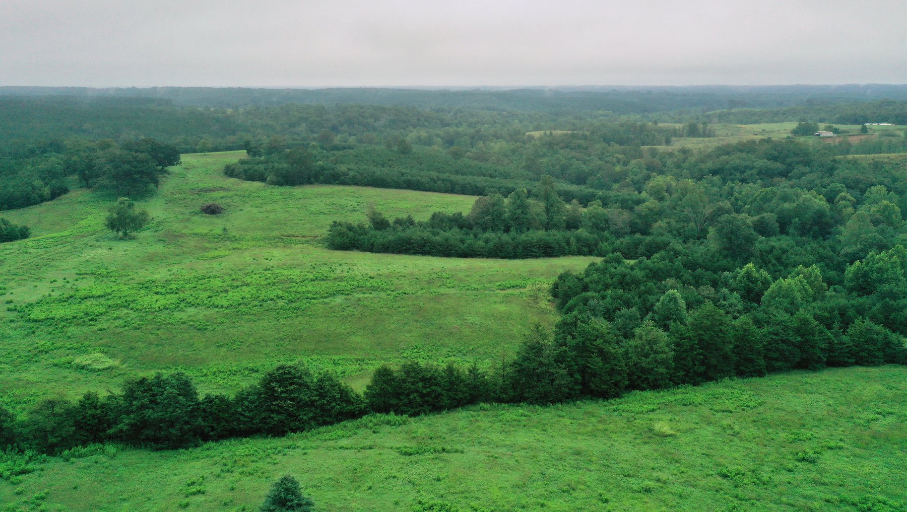 Image for 365 +/- Contiguous Acres of Land Offered in 3 Tracts Featuring Timber, Pasture & 5,600' +/- of River Frontage--Campbell County, VA