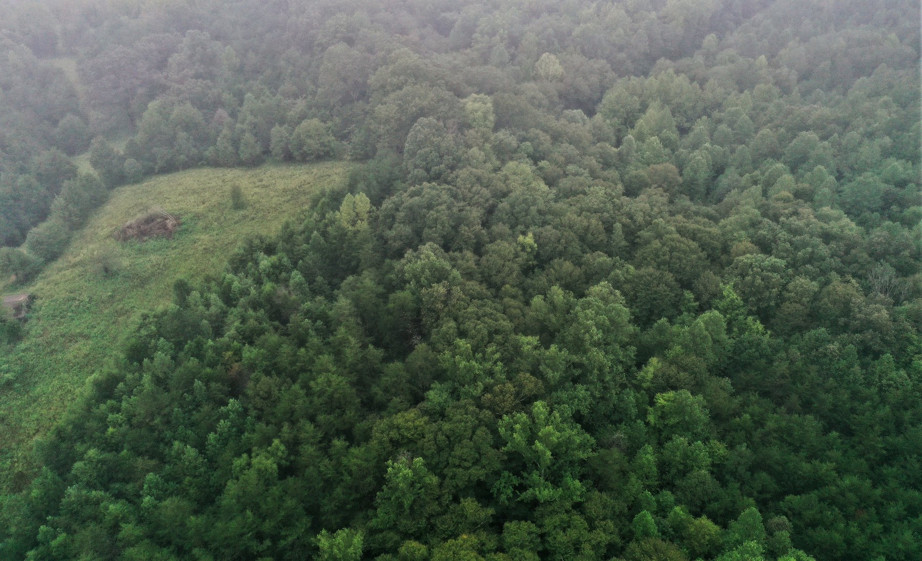 Image for 365 +/- Contiguous Acres of Land Offered in 3 Tracts Featuring Timber, Pasture & 5,600' +/- of River Frontage--Campbell County, VA