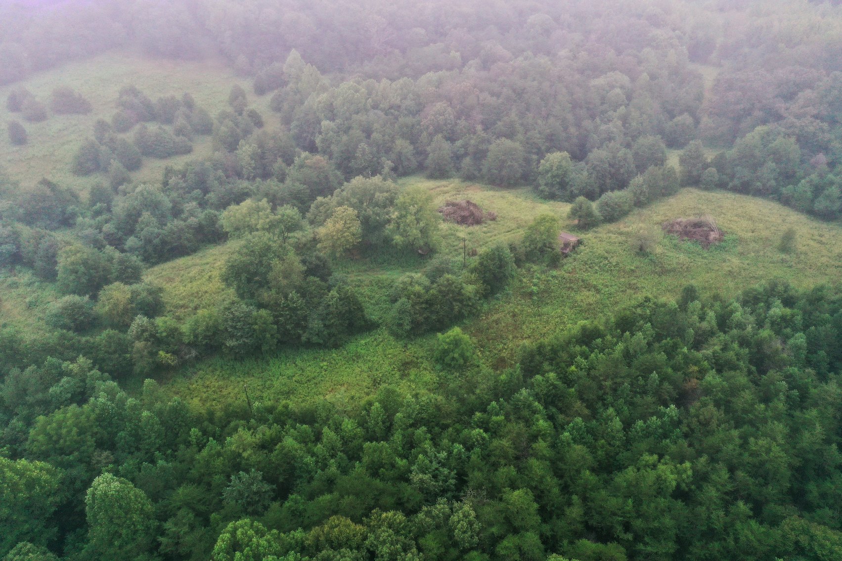 Image for 365 +/- Contiguous Acres of Land Offered in 3 Tracts Featuring Timber, Pasture & 5,600' +/- of River Frontage--Campbell County, VA