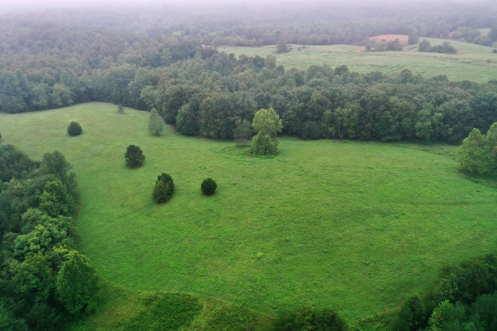 Image for 365 +/- Contiguous Acres of Land Offered in 3 Tracts Featuring Timber, Pasture & 5,600' +/- of River Frontage--Campbell County, VA