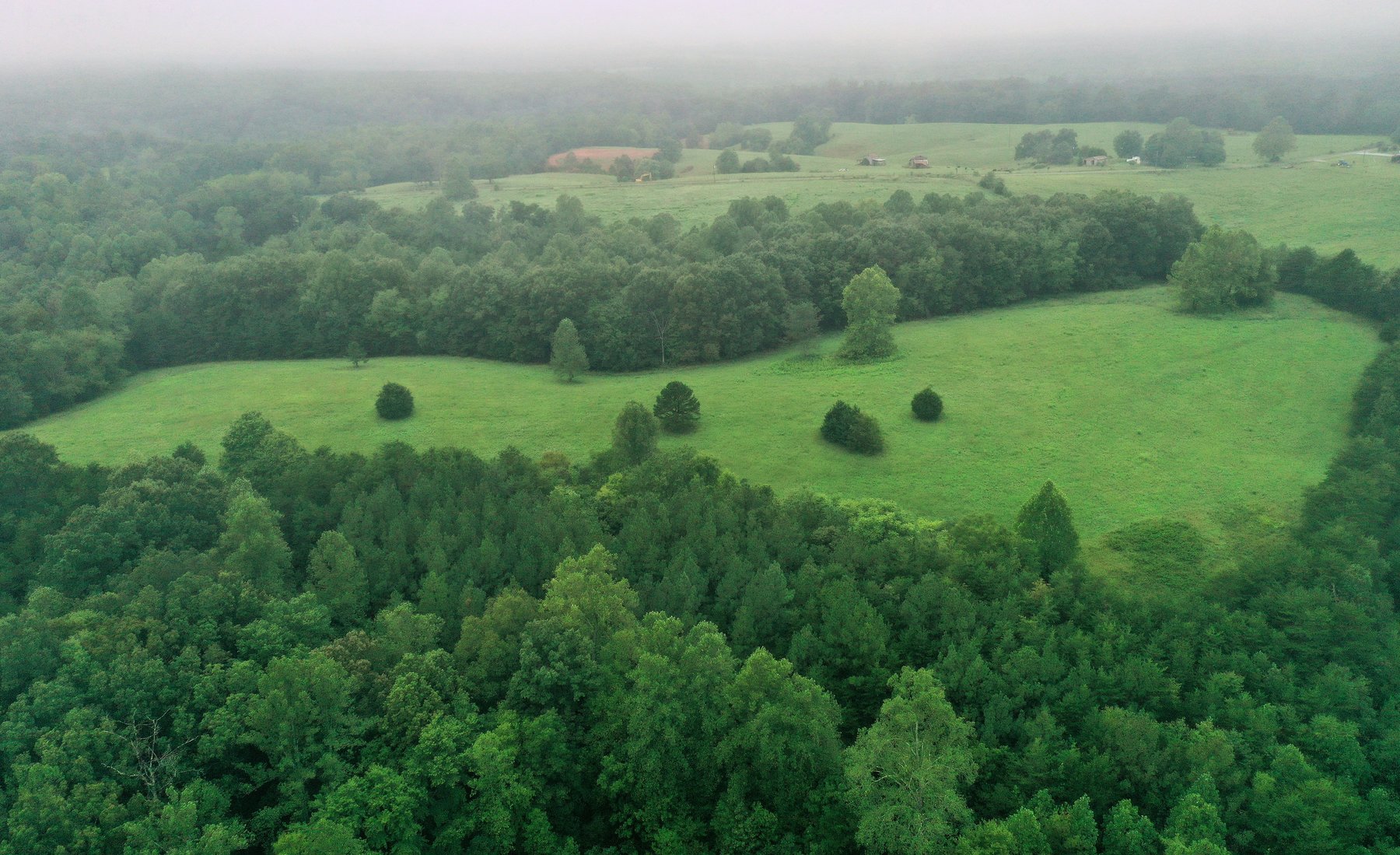 Image for 365 +/- Contiguous Acres of Land Offered in 3 Tracts Featuring Timber, Pasture & 5,600' +/- of River Frontage--Campbell County, VA