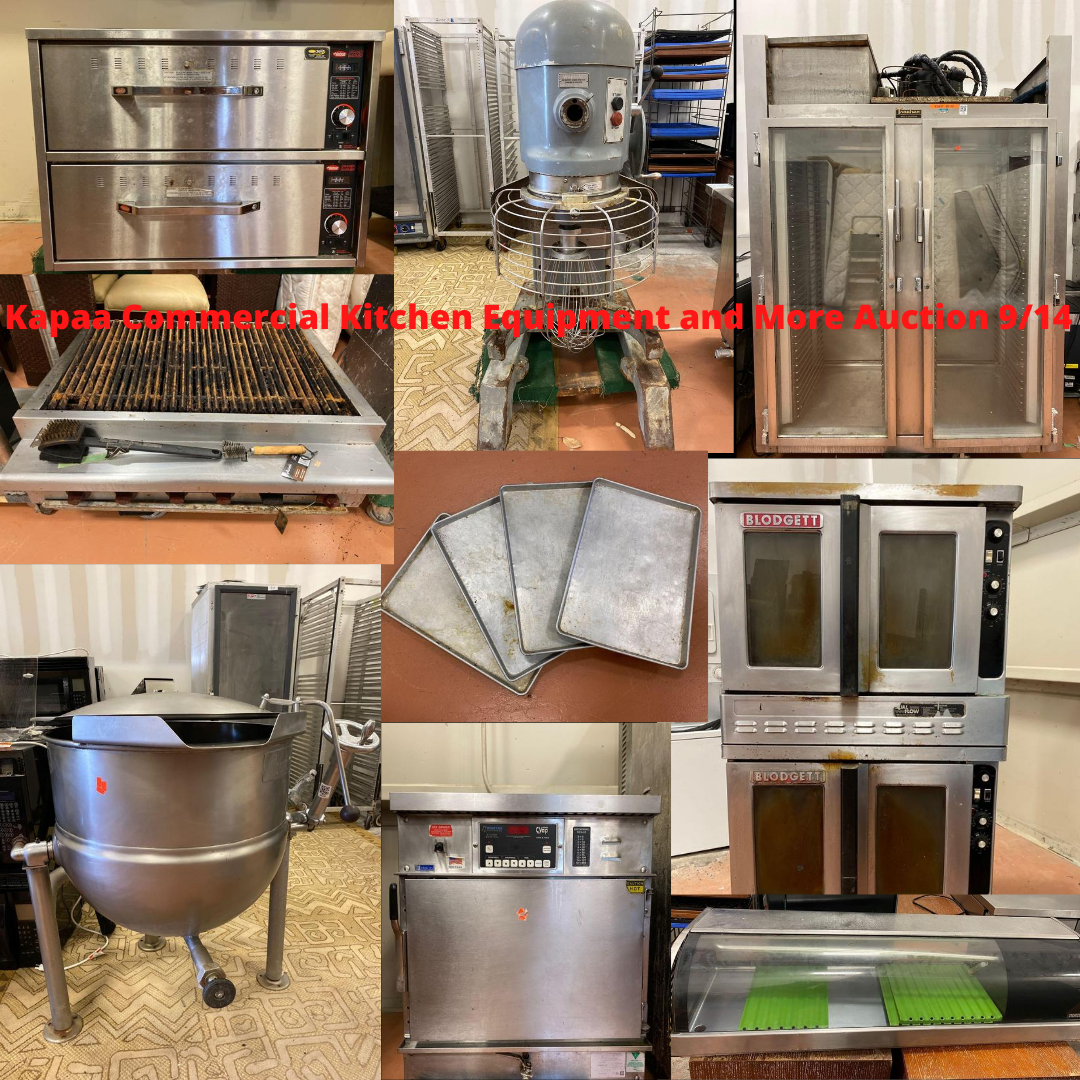 Image for Kapahi Collaborated Personal Property Auction 09/2