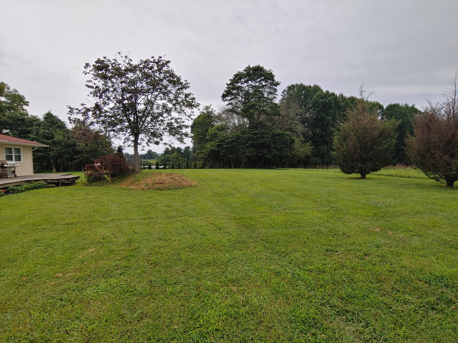 Image for 3 BR, 2 BA RANCHER W/ 30’ X 40’ STEEL POLE BARN 3 PARCELS TOTALING 4.97+/- ACRES