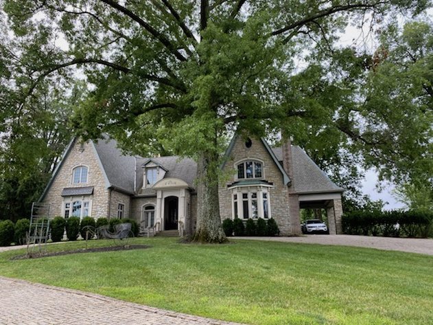 Image for The Shahbabian Estate