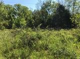 Image for 110  Tulip Ln,  Spout Spring, VA  24593
