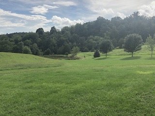 Image for Majestic 3 BR/4.5 BA Log Home on 45 +/- Acres w/5,000 sf. Shop--Augusta County, VA