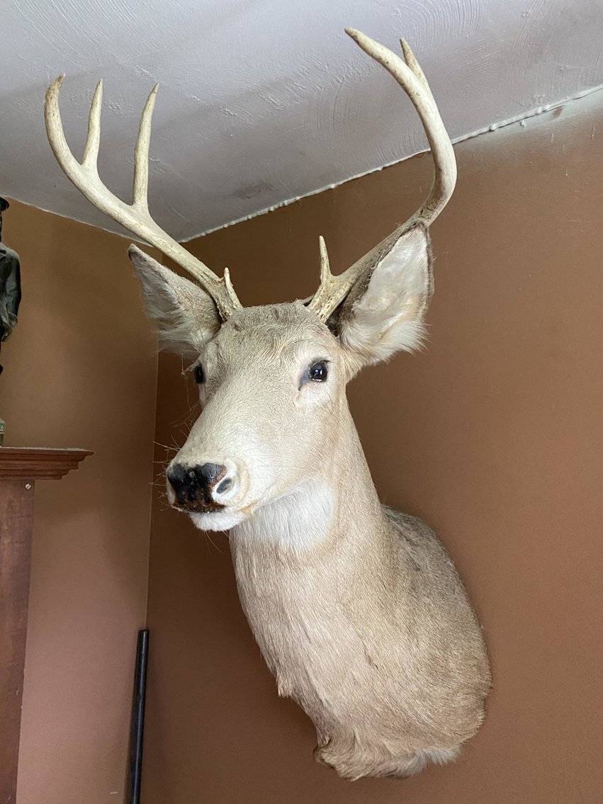 Image for Jacuzzi, Like-New Appliances, Antique & Modern Furniture, & more