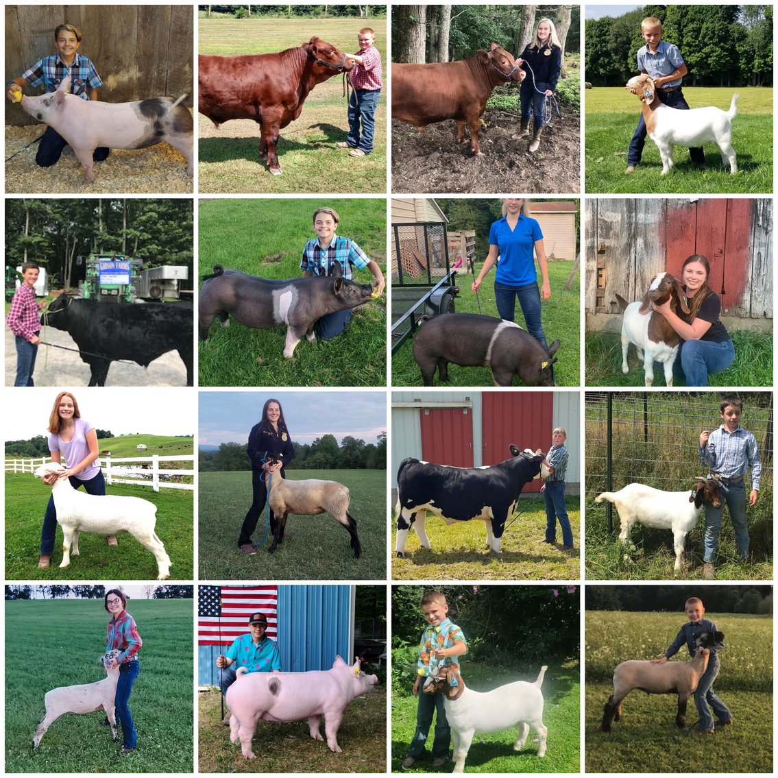 Image for 2020 PCLA Youth Livestock Auction