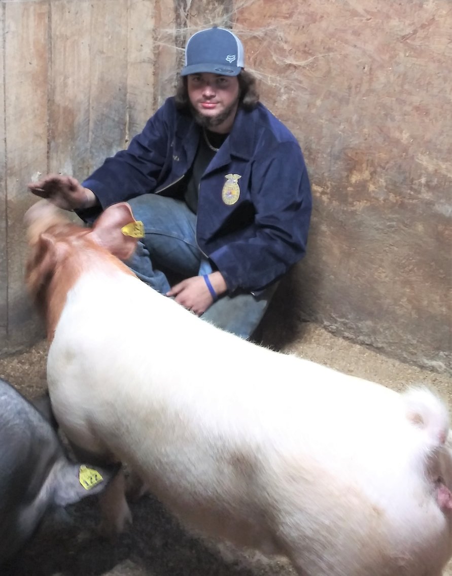 Image for 2020 PCLA Youth Livestock Auction