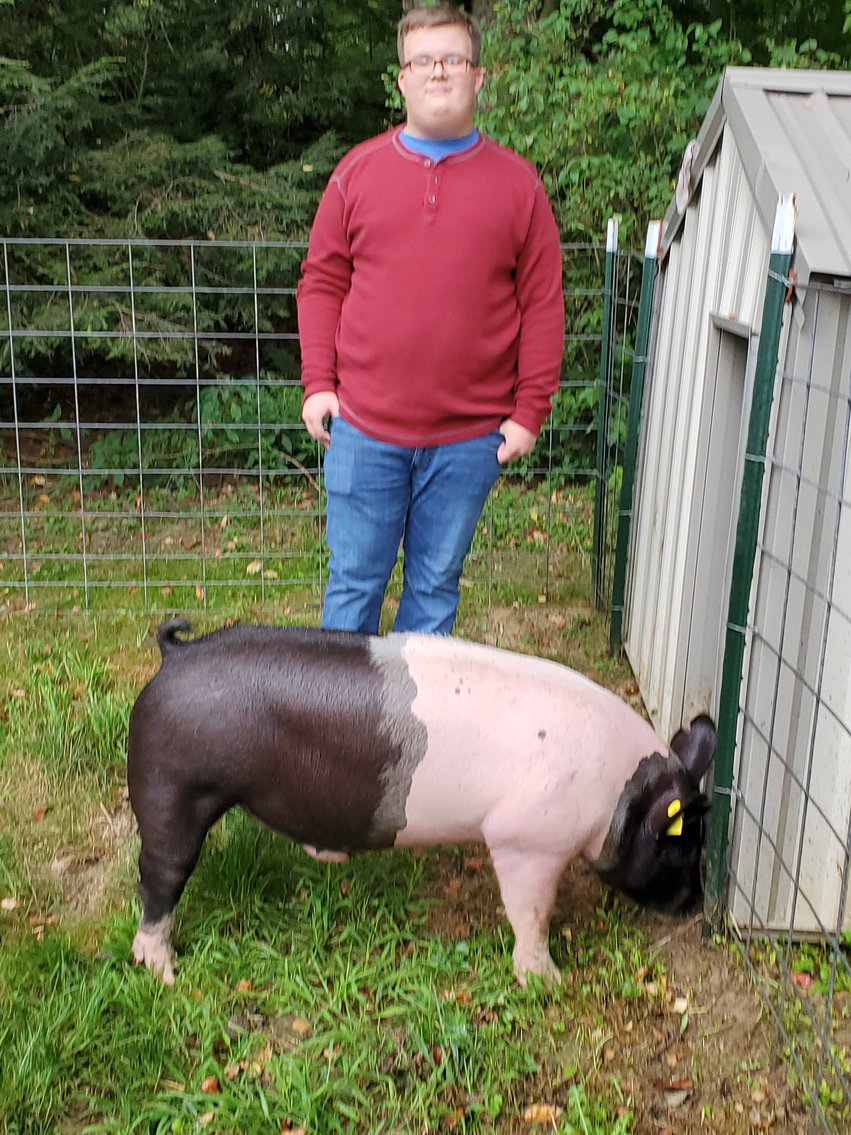 Image for 2020 PCLA Youth Livestock Auction