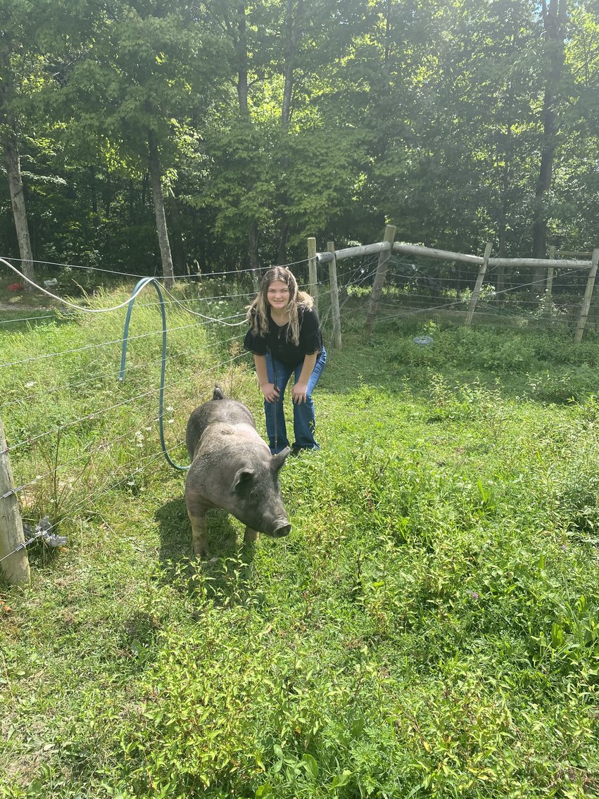 Image for 2020 PCLA Youth Livestock Auction