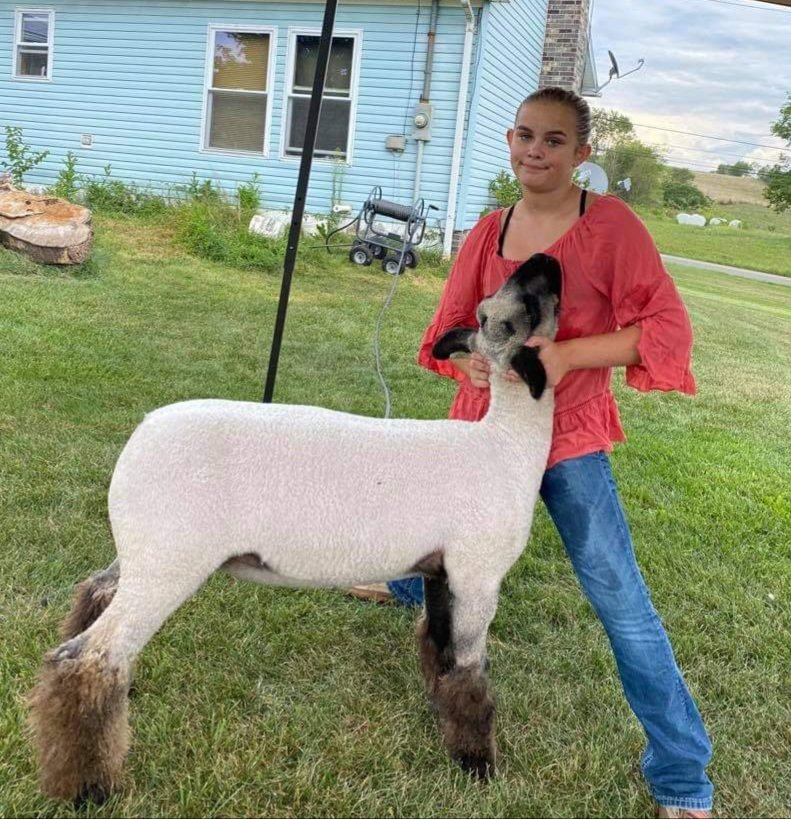 Image for 2020 PCLA Youth Livestock Auction