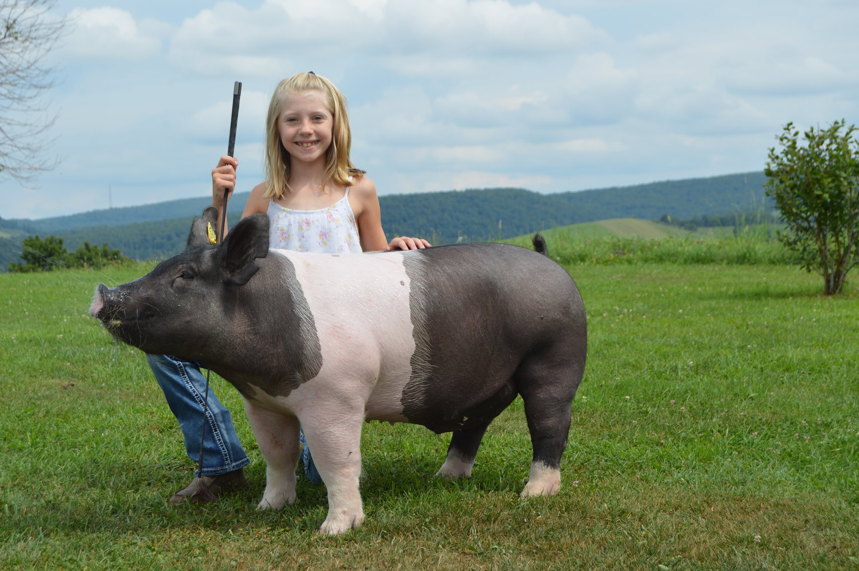 Image for 2020 PCLA Youth Livestock Auction