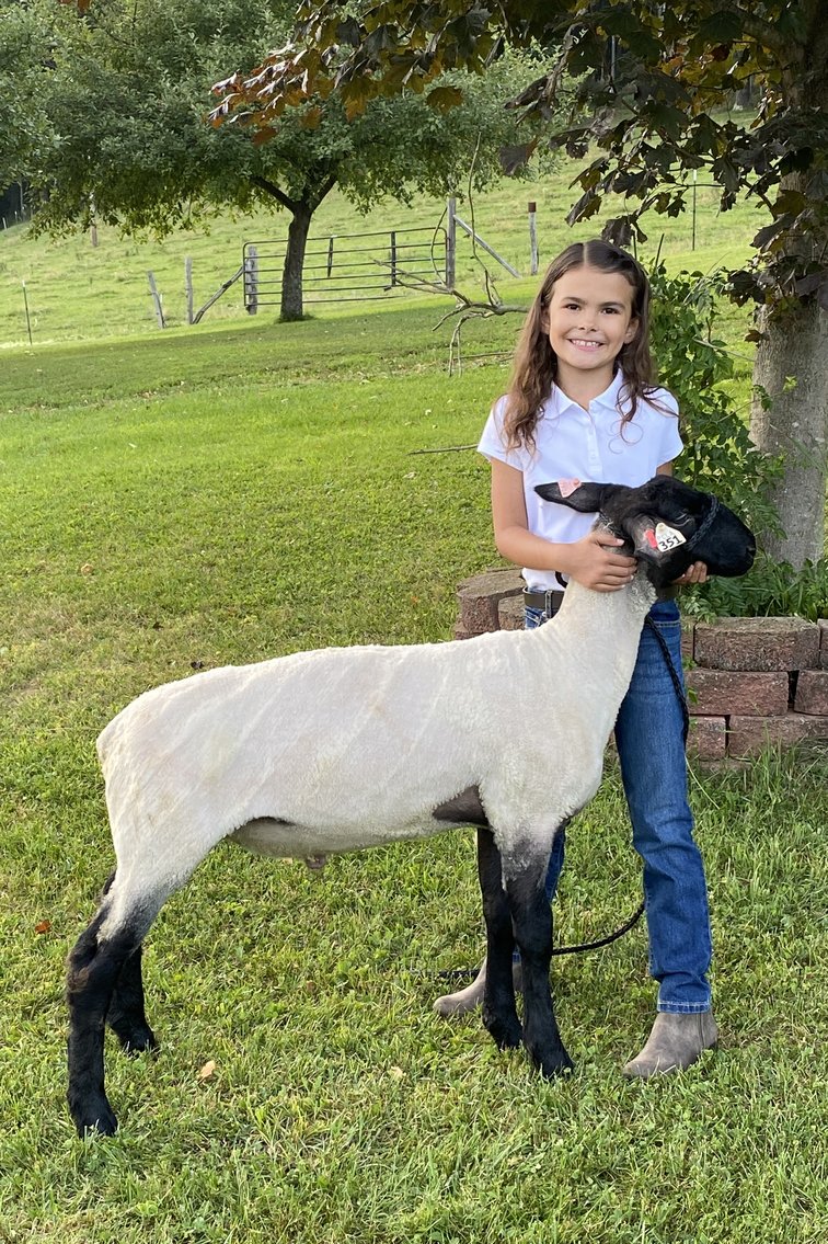 Image for 2020 PCLA Youth Livestock Auction