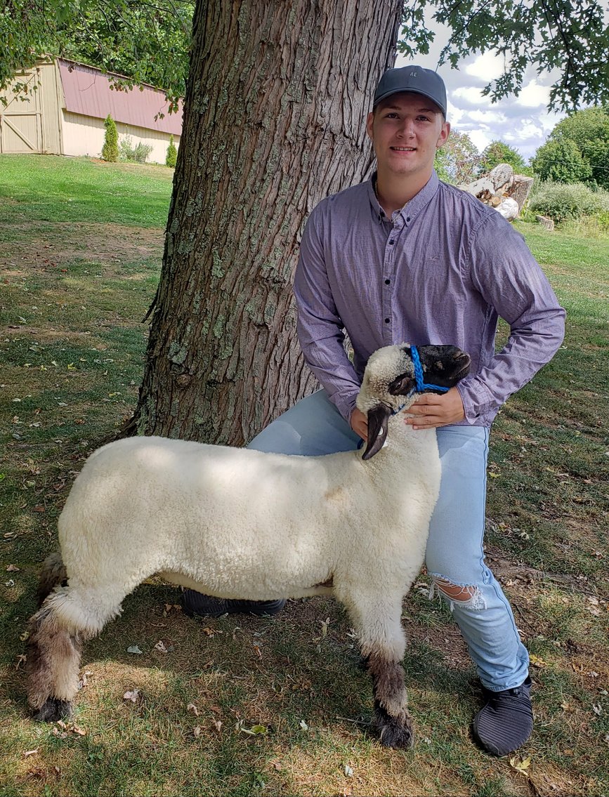 Image for 2020 PCLA Youth Livestock Auction