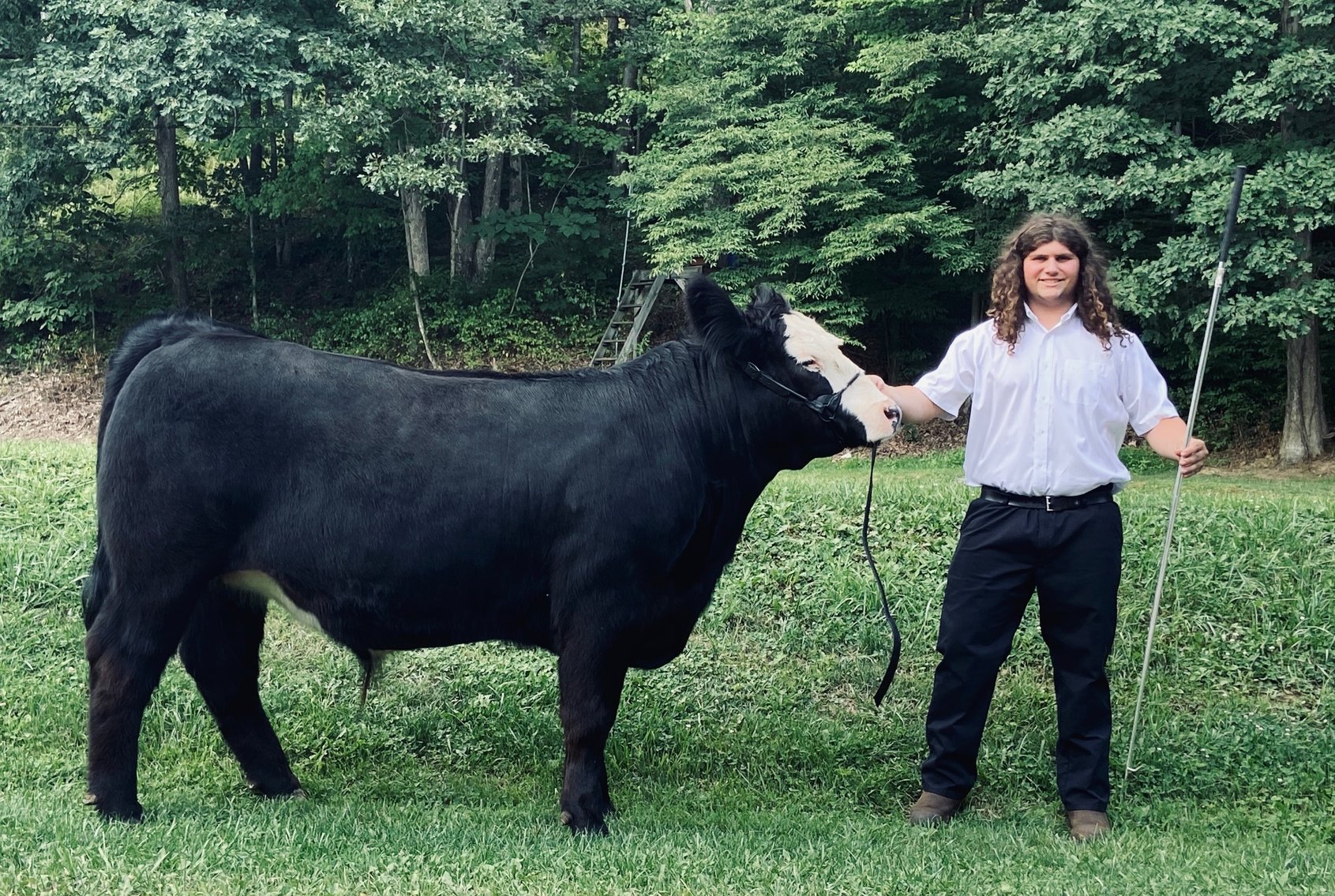 Image for 2020 PCLA Youth Livestock Auction