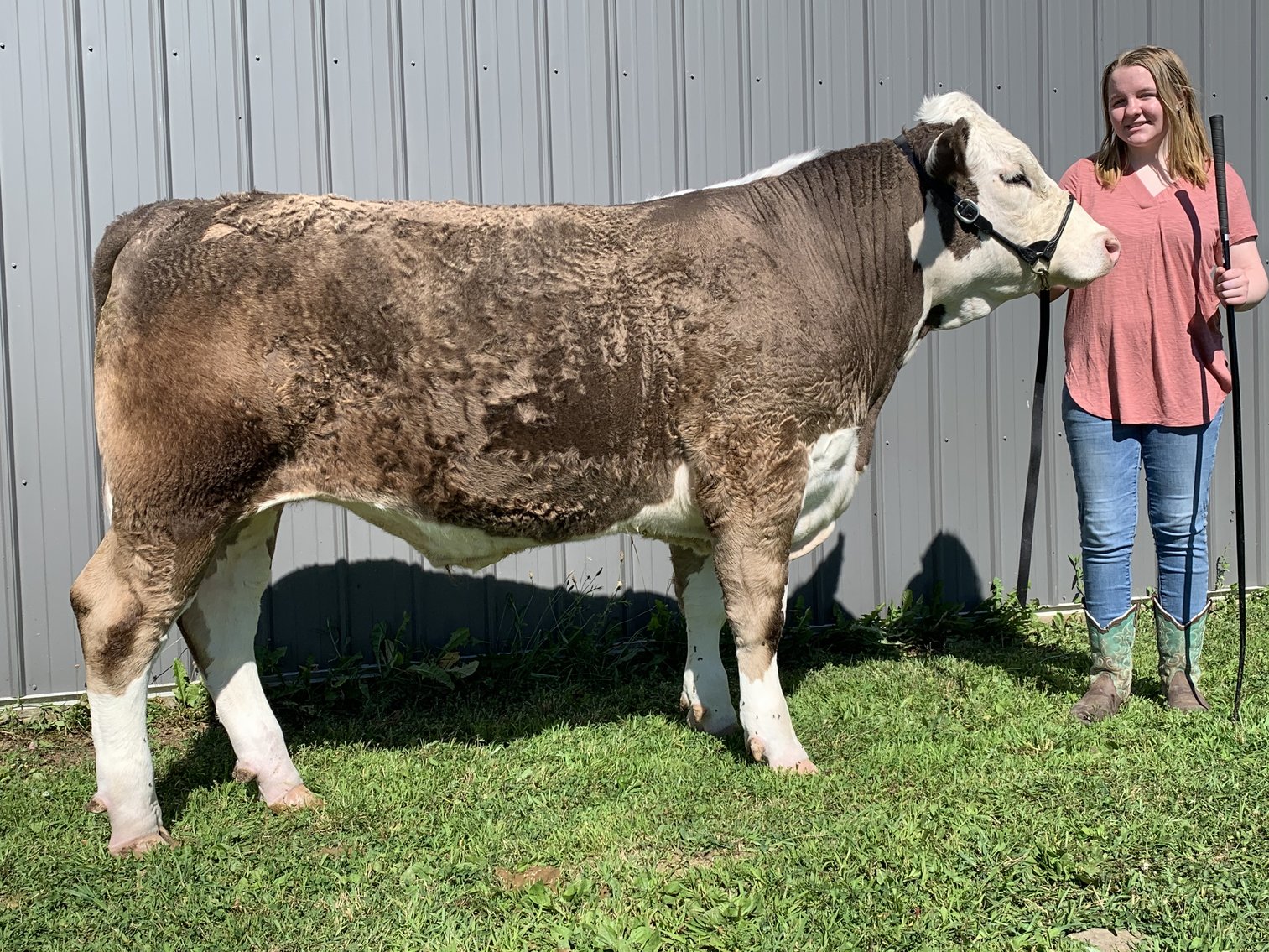 Image for 2020 PCLA Youth Livestock Auction