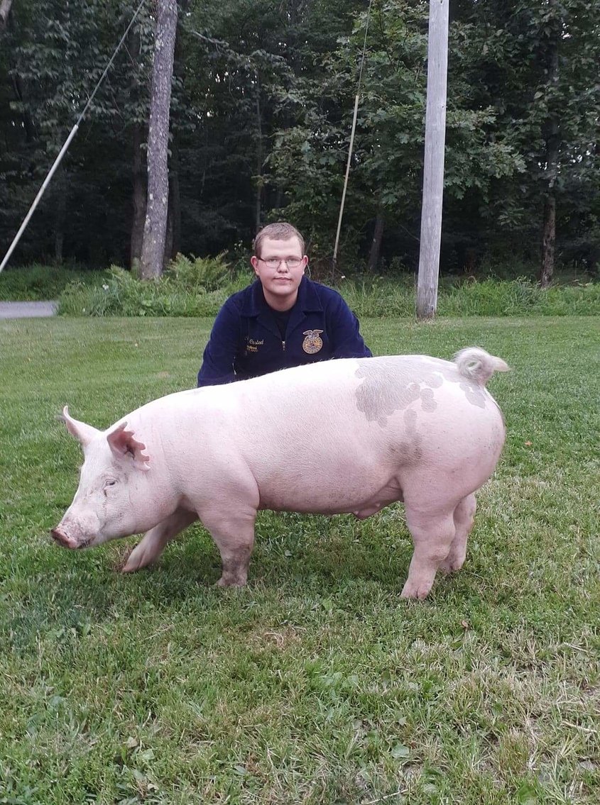 Image for 2020 PCLA Youth Livestock Auction