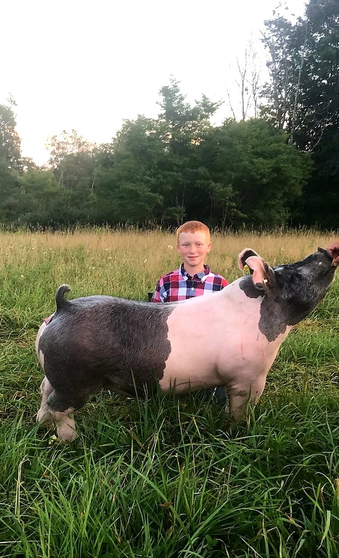 Image for 2020 PCLA Youth Livestock Auction