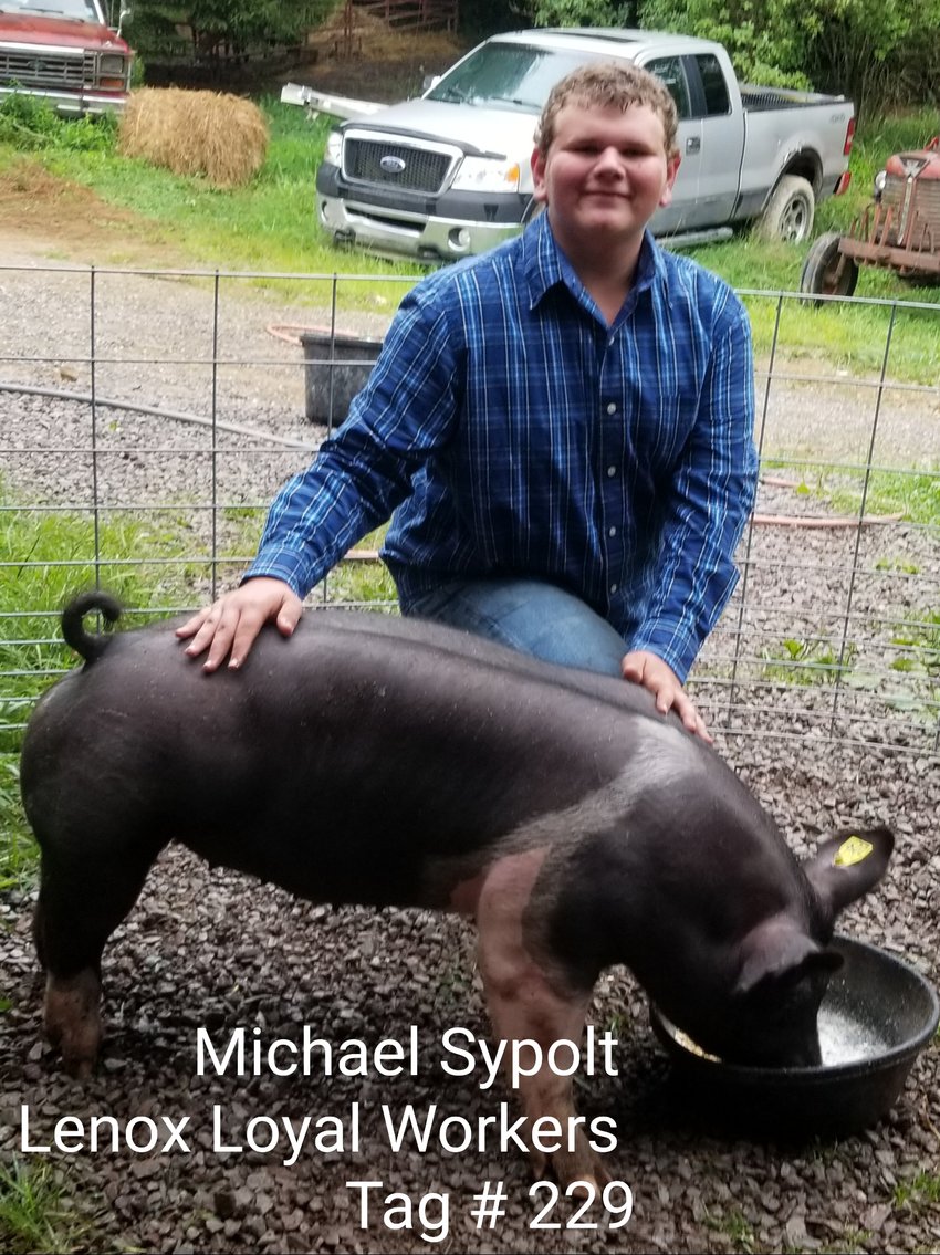 Image for 2020 PCLA Youth Livestock Auction