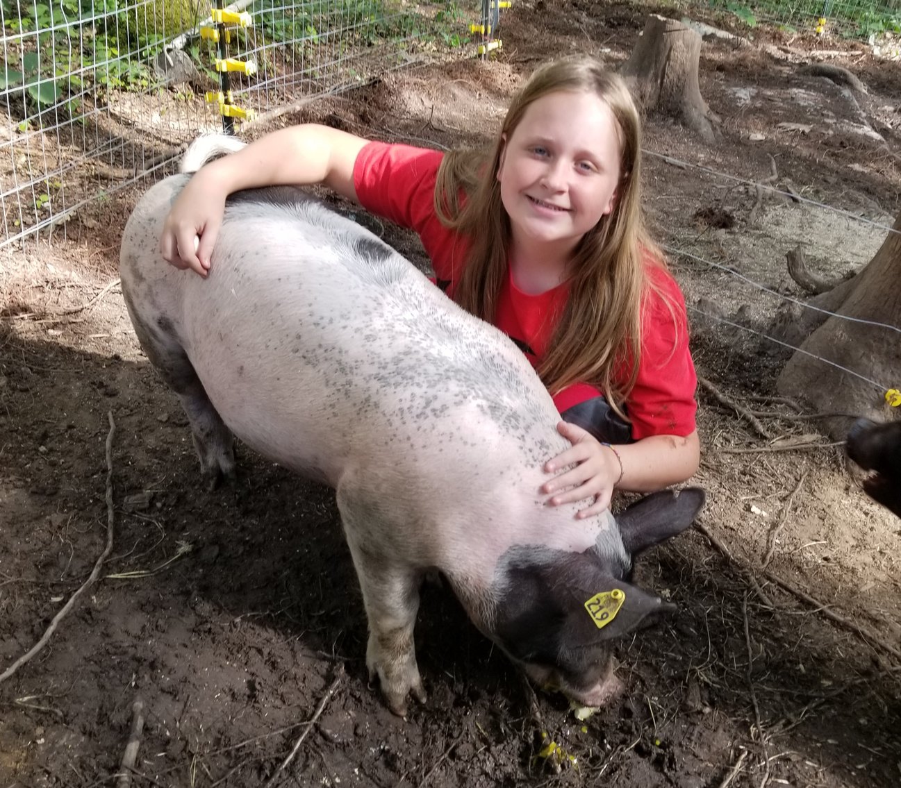 Image for 2020 PCLA Youth Livestock Auction