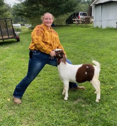 Image for 2020 PCLA Youth Livestock Auction