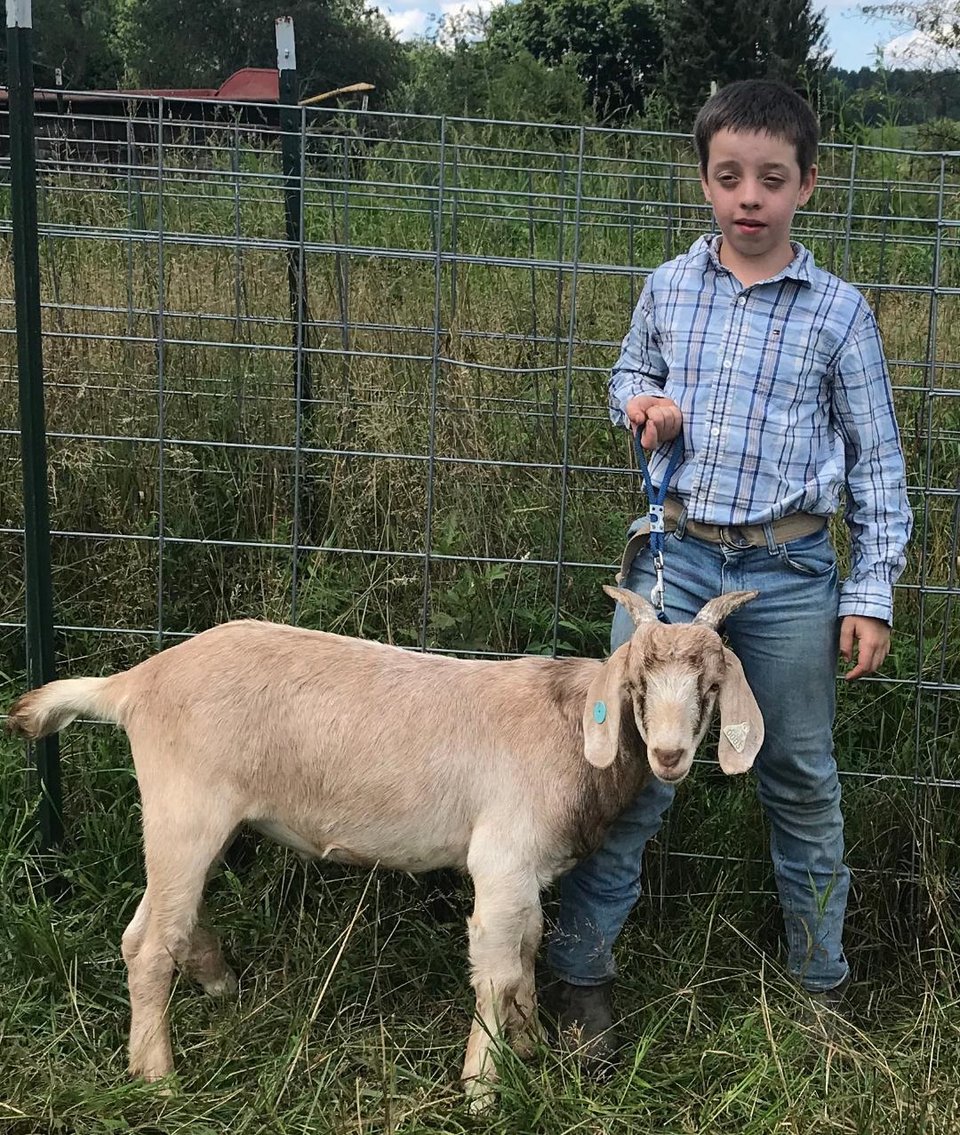 Image for 2020 PCLA Youth Livestock Auction