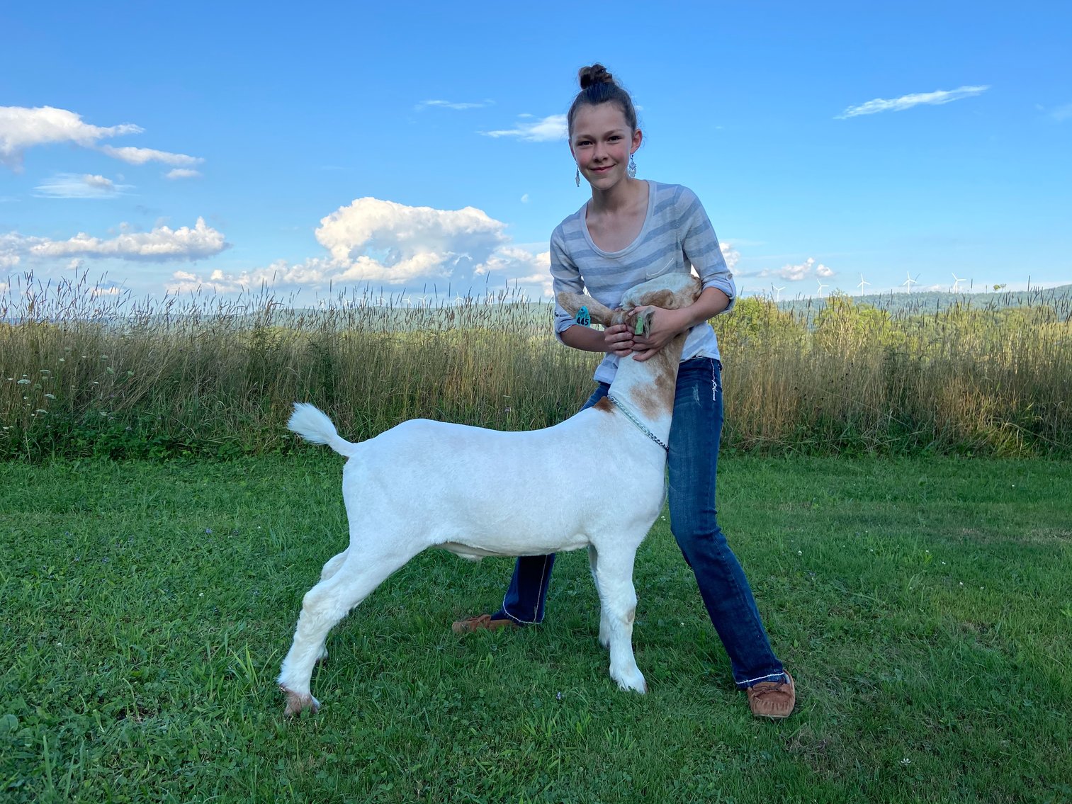 Image for 2020 PCLA Youth Livestock Auction