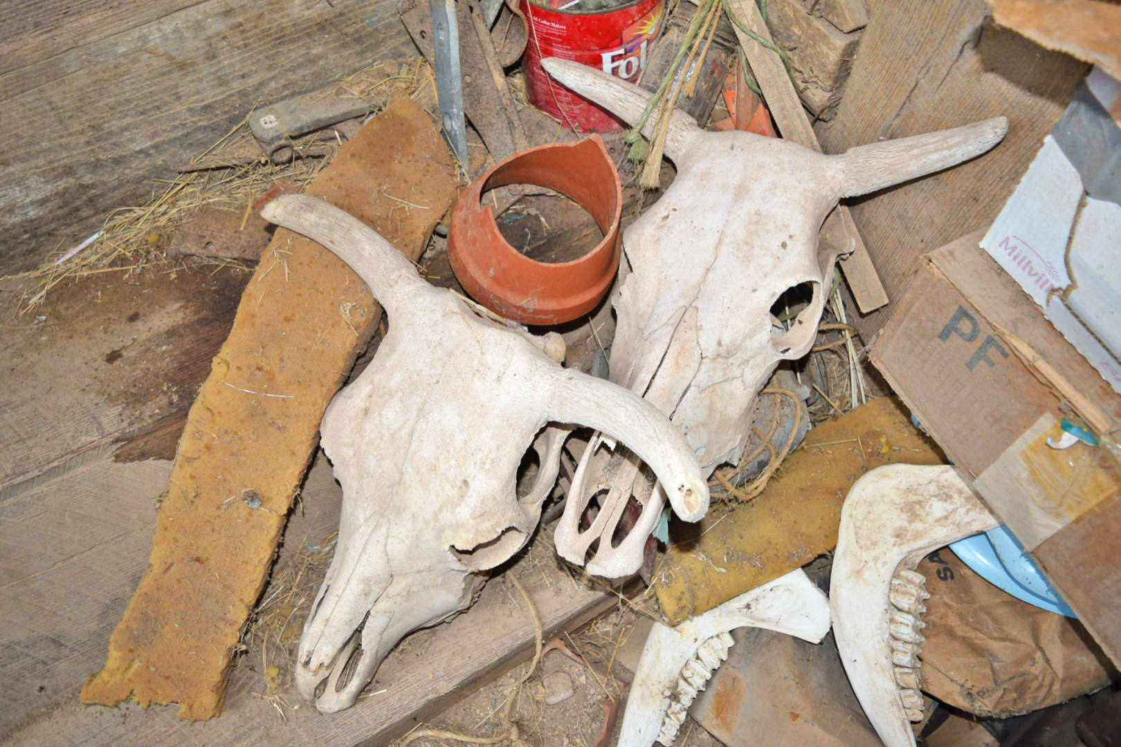 Image for (SOLD!) PUBLIC AUCTION: SATURDAY, SEPTEMBER 26, 1:00 P.M.